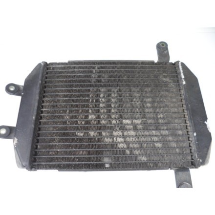 TOYO RADIATORS RADIATORE RAFFREDDAMENTO ACQUA MOTORE SUZUKI AN 400 BURGMAN 2000