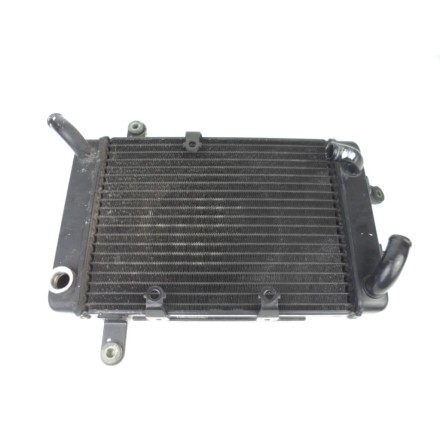 TOYO RADIATORS RADIATORE RAFFREDDAMENTO ACQUA MOTORE SUZUKI AN 400 BURGMAN 2000