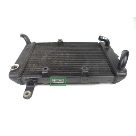 TOYO RADIATORS RADIATORE RAFFREDDAMENTO ACQUA MOTORE SUZUKI AN 400 BURGMAN 2000