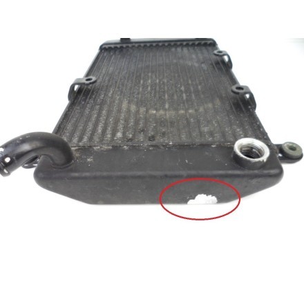 TOYO RADIATORS RADIATORE RAFFREDDAMENTO ACQUA MOTORE SUZUKI AN 400 BURGMAN 2000