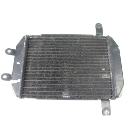 TOYO RADIATORE RAFFREDDAMENTO LIQUIDO MOTORE OEM SUZUKI AN 250 BURGMAN 1998