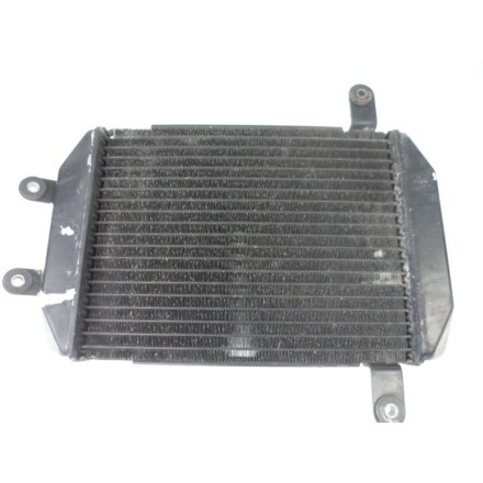 TOYO RADIATORE RAFFREDDAMENTO LIQUIDO MOTORE OEM SUZUKI AN 250 BURGMAN 1998