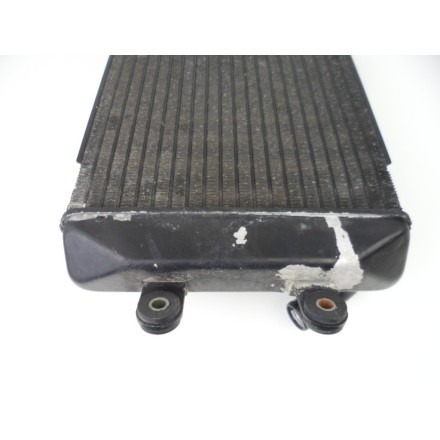 TOYO RADIATORE RAFFREDDAMENTO LIQUIDO MOTORE OEM SUZUKI AN 250 BURGMAN 1998