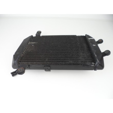 TOYO RADIATORE RAFFREDDAMENTO LIQUIDO MOTORE OEM SUZUKI AN 250 BURGMAN 1998