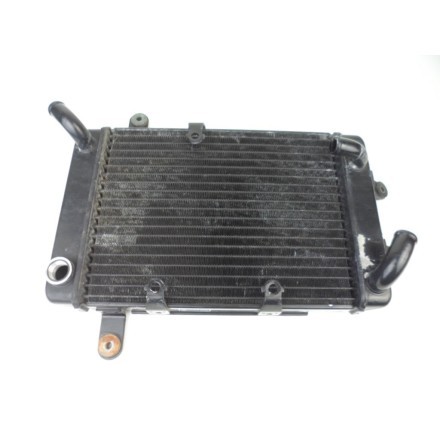 TOYO RADIATORE RAFFREDDAMENTO LIQUIDO MOTORE OEM SUZUKI AN 250 BURGMAN 1998