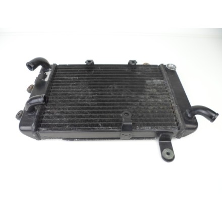 TOYO RADIATORE RAFFREDDAMENTO LIQUIDO MOTORE OEM SUZUKI AN 250 BURGMAN 1998