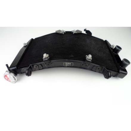 RADIATORE RAFFREDDAMENTO ACQUA LIQUIDO MOTORE OEM DUCATI 1198 Superbike 2010