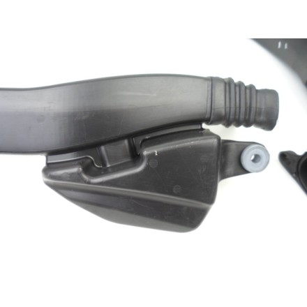 COPPIA CONDOTTI LATERALI CONVOGLIATORI ARIA ORIGINALI DUCATI 1198 Superbike 2010