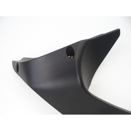 LAIRT COPPIA FIANCHETTI COPRI CONVOGLIATORI ARIA ABS DUCATI 1198 Superbike 2010