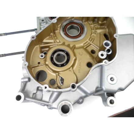 SEMI CARTER MOTORE LATO SINISTRO DUCATI 1198 Superbike 2010