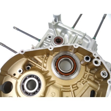 SEMI CARTER MOTORE LATO SINISTRO DUCATI 1198 Superbike 2010