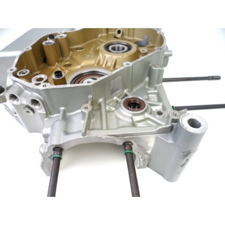 SEMI CARTER MOTORE LATO SINISTRO DUCATI 1198 Superbike 2010