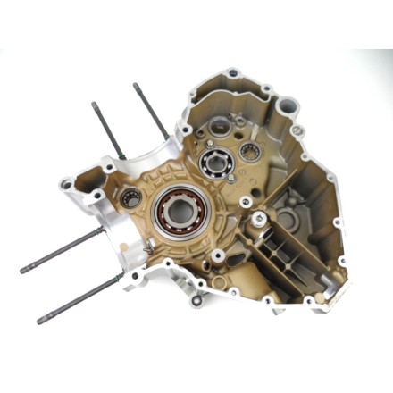 SEMI CARTER MOTORE LATO SINISTRO DUCATI 1198 Superbike 2010