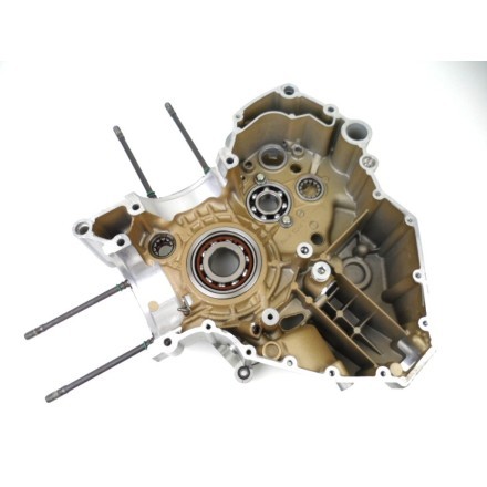 SEMI CARTER MOTORE LATO SINISTRO DUCATI 1198 Superbike 2010