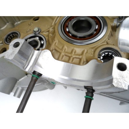SEMI CARTER MOTORE LATO SINISTRO DUCATI 1198 Superbike 2010