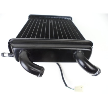 RADIATORE ACQUA CON ELETTROVENTOLA DI RAFFREDDAMENTO PEUGEOT ELYSEO 125 1999