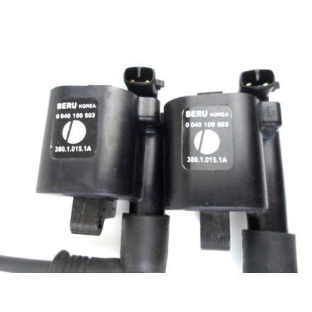 BERU BOBINE AVVIAMENTO PIPETTE CANDELE MOTORE DUCATI MONSTER 696 Plus 2008