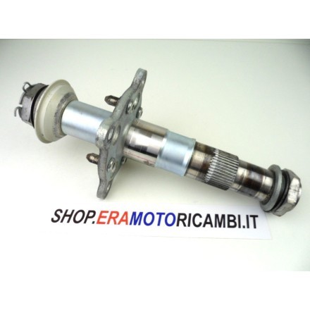 ASSE PERNO ASSIALE FISSAGGIO CERCHIO POSTERIORE TRIUMPH SPEED TRIPLE 1050 2011