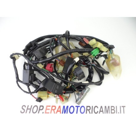 IMPIANTO CABLAGGIO GRUPPO ELETTRICO TRECCIONE HONDA PANTHEON 150 Fes 2000