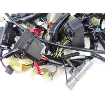 IMPIANTO CABLAGGIO GRUPPO ELETTRICO TRECCIONE HONDA PANTHEON 150 Fes 2000