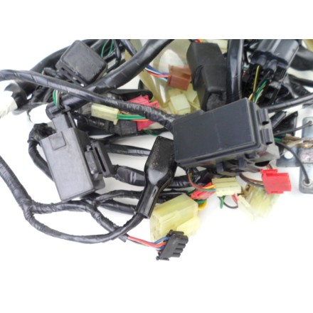 IMPIANTO CABLAGGIO GRUPPO ELETTRICO TRECCIONE HONDA PANTHEON 150 Fes 2000