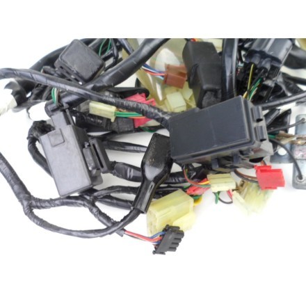 IMPIANTO CABLAGGIO GRUPPO ELETTRICO TRECCIONE HONDA PANTHEON 150 Fes 2000