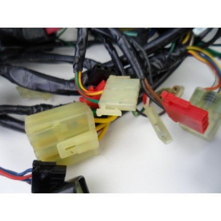 IMPIANTO CABLAGGIO GRUPPO ELETTRICO TRECCIONE HONDA PANTHEON 150 Fes 2000