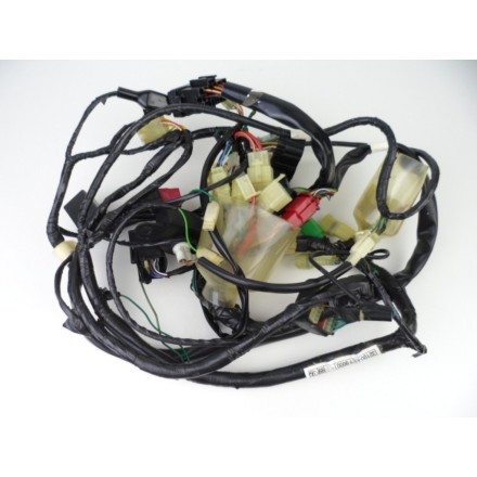 IMPIANTO CABLAGGIO GRUPPO ELETTRICO TRECCIONE HONDA PANTHEON 150 Fes 2000