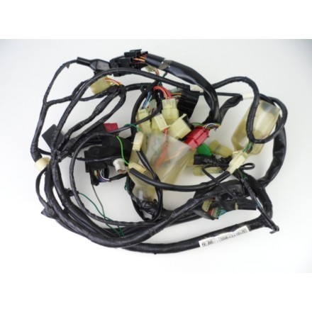 IMPIANTO CABLAGGIO GRUPPO ELETTRICO TRECCIONE HONDA PANTHEON 150 Fes 2000