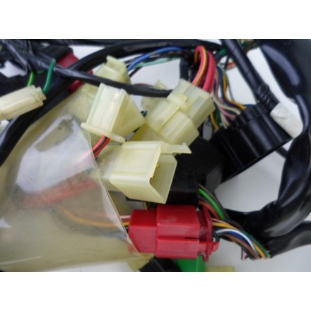 IMPIANTO CABLAGGIO GRUPPO ELETTRICO TRECCIONE HONDA PANTHEON 150 Fes 2000