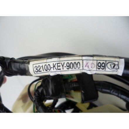 IMPIANTO CABLAGGIO GRUPPO ELETTRICO TRECCIONE HONDA PANTHEON 150 Fes 2000