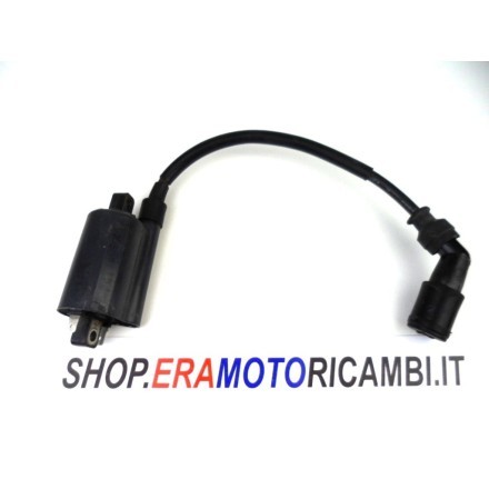 DENSO BOBINA ACCENSIONE PIPETTA AVVIAMENTO MOTORE OEM SUZUKI BURGMAN 125 UH 2007