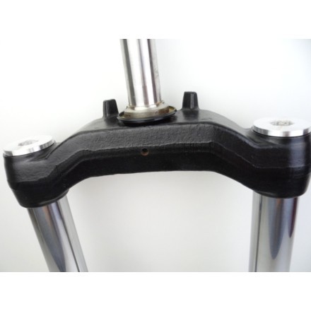 FORCELLA SOSPENSIONE ANTERIORE COMPLETA SUZUKI AN 400 BURGMAN 2002 BUSINESS