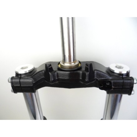 FORCELLA SOSPENSIONE ANTERIORE COMPLETA SUZUKI AN 400 BURGMAN 2002 BUSINESS