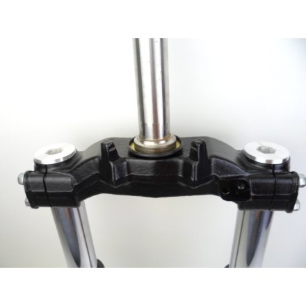 FORCELLA SOSPENSIONE ANTERIORE COMPLETA SUZUKI AN 400 BURGMAN 2002 BUSINESS