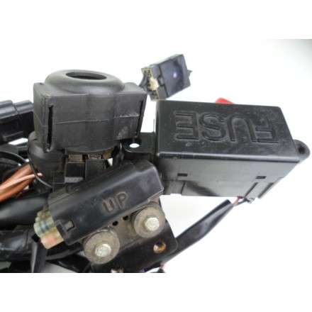 IMPIANTO CAVI TRECCIA CABLAGGIO GRUPPO ELETTRICO TRIUMPH SPEED TRIPLE 1050 2005