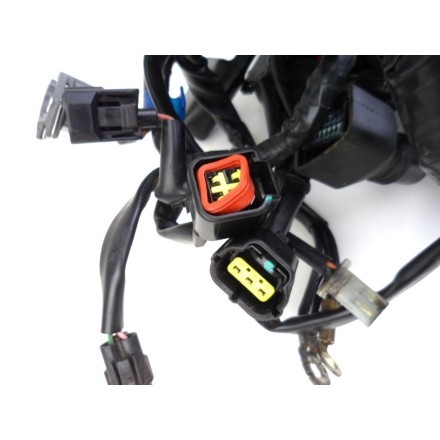 IMPIANTO CAVI TRECCIA CABLAGGIO GRUPPO ELETTRICO TRIUMPH SPEED TRIPLE 1050 2005