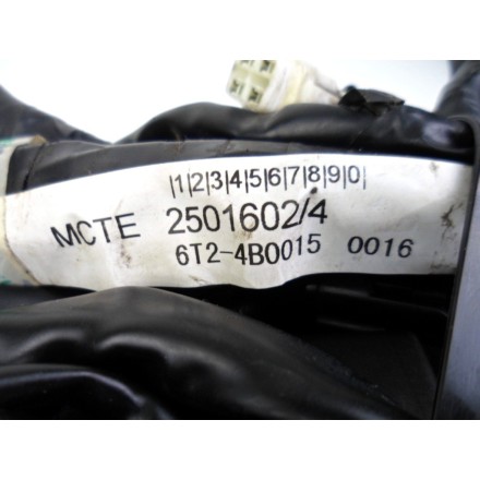 IMPIANTO CAVI TRECCIA CABLAGGIO GRUPPO ELETTRICO TRIUMPH SPEED TRIPLE 1050 2005