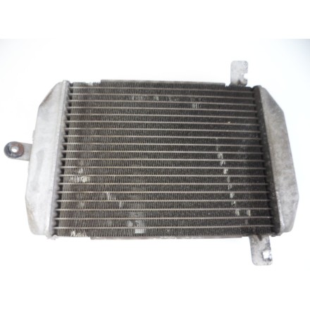 TOYO RADIATOR RADIATORE ACQUA RAFFREDDAMENTO LIQUIDO SUZUKI AN 400 BURGMAN 2005