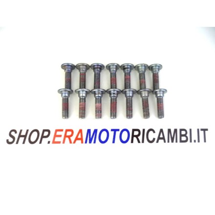 KIT x14 PERNI VITI BULLONI DISCHI FRENO AVANTI DIETRO KAWASAKI NINJA ZX-10R 2007