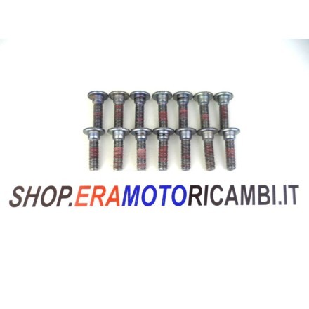 KIT x14 PERNI VITI BULLONI DISCHI FRENO AVANTI DIETRO KAWASAKI NINJA ZX-10R 2007