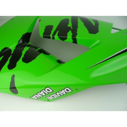 55028-0067 CARENA LATERALE SUPERIORE SINISTRA OEM KAWASAKI NINJA ZX-10R 2007