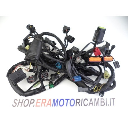 IMPIANTO CAVI GRUPPO TRECCIA CABLAGGIO ELETTRICO OEM KAWASAKI VERSYS 650 2009