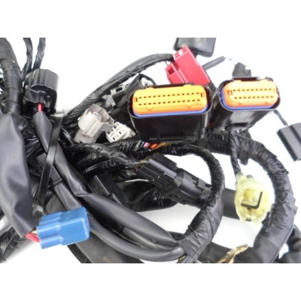 IMPIANTO CAVI GRUPPO TRECCIA CABLAGGIO ELETTRICO OEM KAWASAKI VERSYS 650 2009