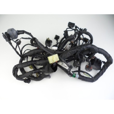IMPIANTO CAVI GRUPPO TRECCIA CABLAGGIO ELETTRICO OEM KAWASAKI VERSYS 650 2009