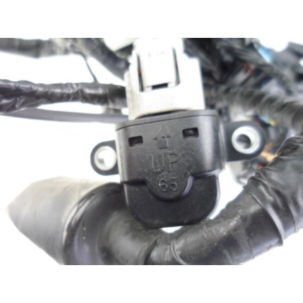 IMPIANTO CAVI GRUPPO TRECCIA CABLAGGIO ELETTRICO OEM KAWASAKI VERSYS 650 2009