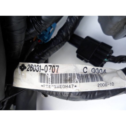 IMPIANTO CAVI GRUPPO TRECCIA CABLAGGIO ELETTRICO OEM KAWASAKI VERSYS 650 2009