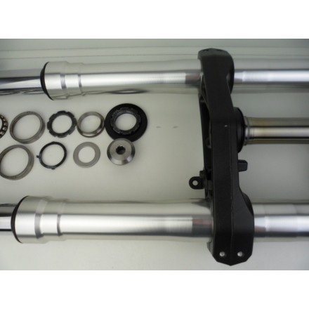 FORCELLA SOSPENSIONE ANTERIORE COMPLETA DI PIASTRE KAWASAKI VERSYS 650 2009