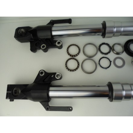 FORCELLA SOSPENSIONE ANTERIORE COMPLETA DI PIASTRE KAWASAKI VERSYS 650 2009
