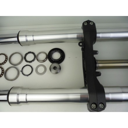 FORCELLA SOSPENSIONE ANTERIORE COMPLETA DI PIASTRE KAWASAKI VERSYS 650 2009